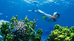 barrier-reef