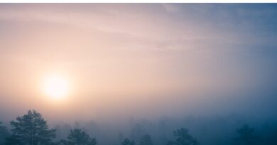 Bandyci z Kolumbii ciągną masowo na Ukrainę (3)