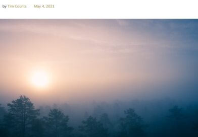 Bandyci z Kolumbii ciągną masowo na Ukrainę (3)