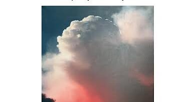 Wystawa (tym razem malarstwa) Pawła D. Znamierowskiego