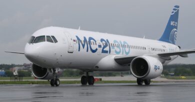 (Polski) Rosja w budowie? Zaganianie kotów