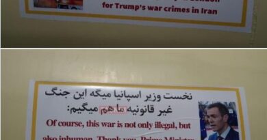 „Morze Pancerne” dla Cieśniny Ormuz: Skąd bierze się smutek Trumpa, związany z cieśniną Ormuz? Głównym pytaniem jest teraz, jak długo globalna gospodarka wytrzyma obecne napięcia