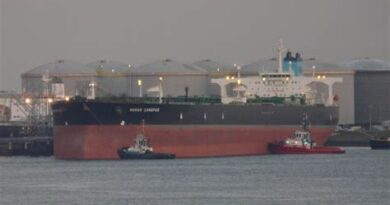 Indyjski tankowiec padł ofiarą krypto-oszustwa podczas próby przepłynięcia przez Cieśninę Ormuz