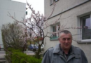 (Polski) Karaś online (237)