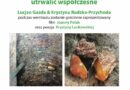 Ożywić minione…