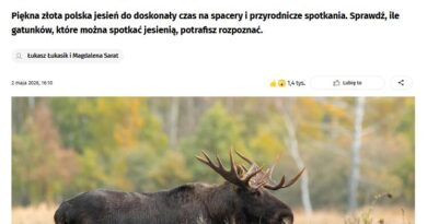 Jakby wciąż wiosna…