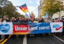AfD i brunatniejemy…