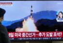 (Polski) Korea Północna: Dlaczego Zachód panikuje, a Korea Południowa nie