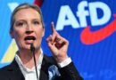 AfD i brunatniejemy… (2)