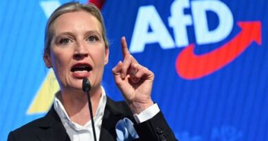 AfD i brunatniejemy… (2)