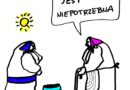 (Polski) N-ta RP okiem M. Graczyka (714)